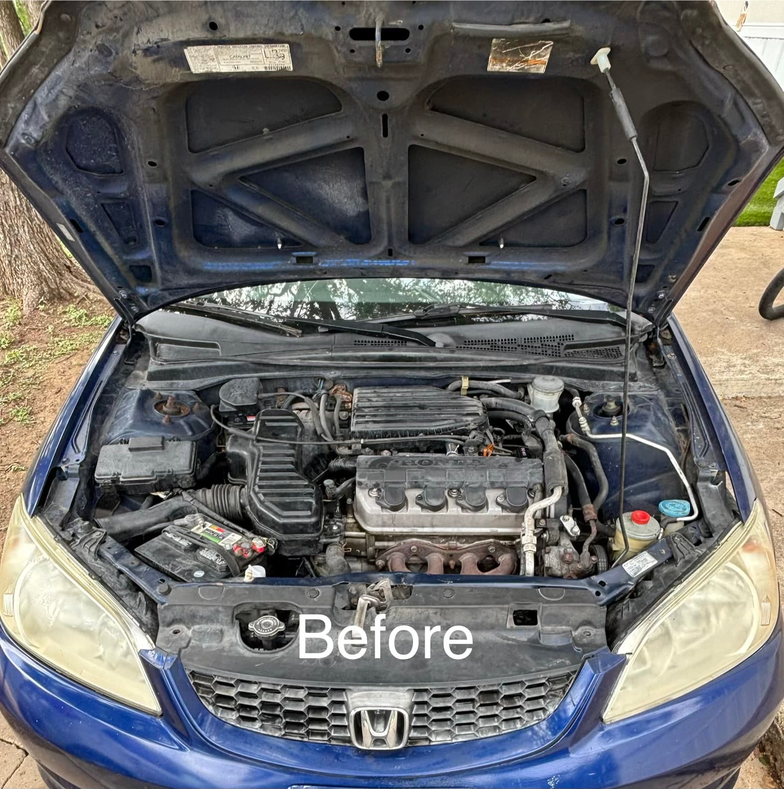 Gallery image 12